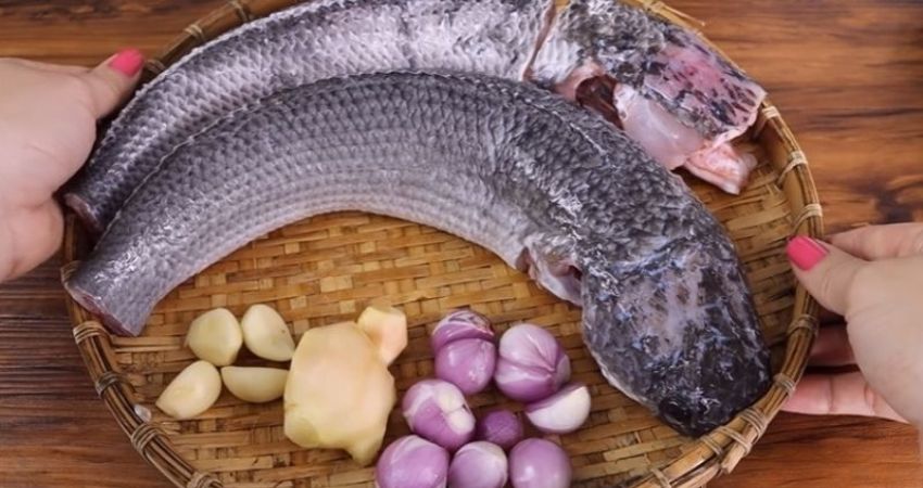 Cách Làm Cá Lóc Nướng Muối Ớt Thịt Cá Mềm, Đơn Giản Tại Nhà 24 - Cach Chon Ca Loc Ngon