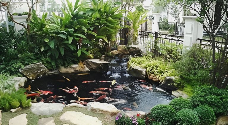 Tiểu Cảnh Hồ Cá Sân Vườn