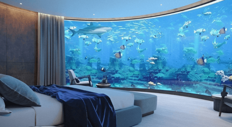 Aquarium Bedroom