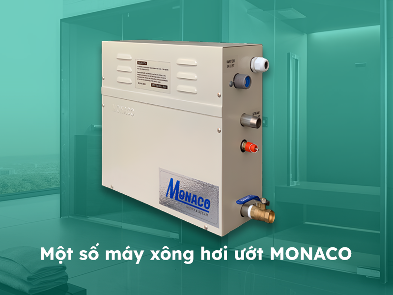 Một số loại máy xông hơi ướt Monaco phổ biến