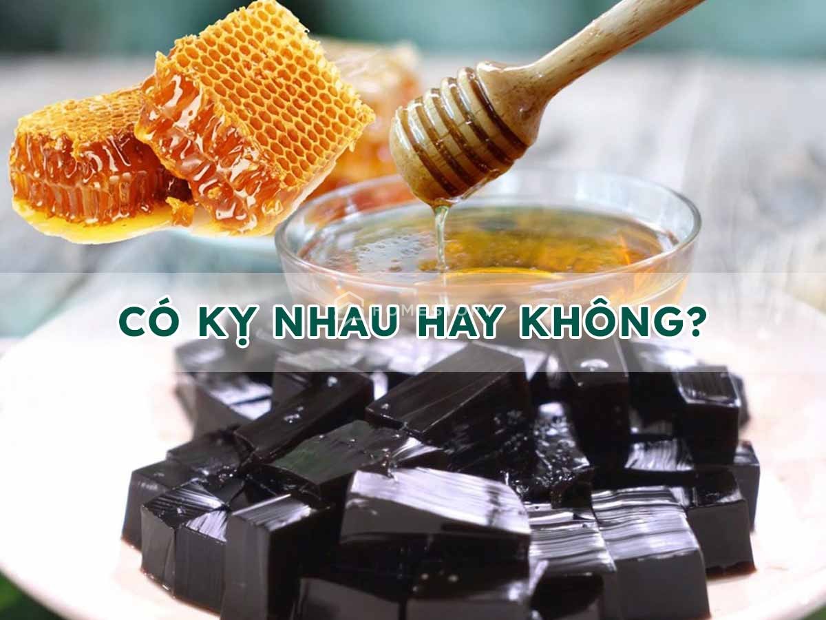 Giải Đáp Sương Sáo Và Mật Ong Có Kỵ Nhau Không?